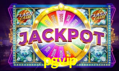 VIP Casino pgvip