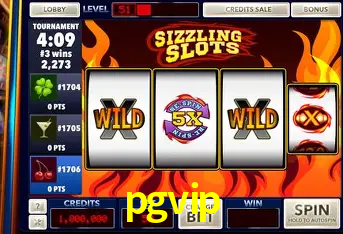 Descubra o Mundo do Cassino Online com pgvip