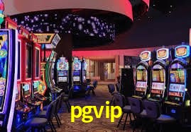 API Integration pgvip